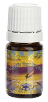 Young Living Magnify Your Purpose