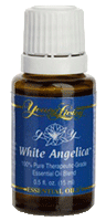 Young Living White Angelica