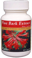 Youngevity Pine Bark Extract