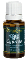 Young Living Cypress