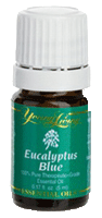 Young Living Eucalyptus Blue