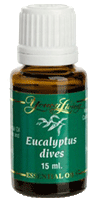 Young Living Eucalyptus Dives