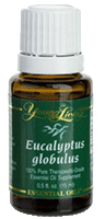 Young Living Eucalyptus Globulus