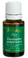 Young Living Eucalyptus Polybractea