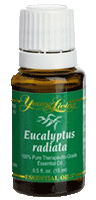 Young Living Eucalyptus Radiata