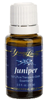 Young Living Juniper