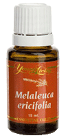 Young Living Melaleuca Ericifolia