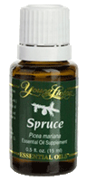 Young Living Spruce