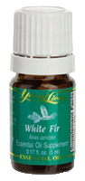 Young Living White Fir