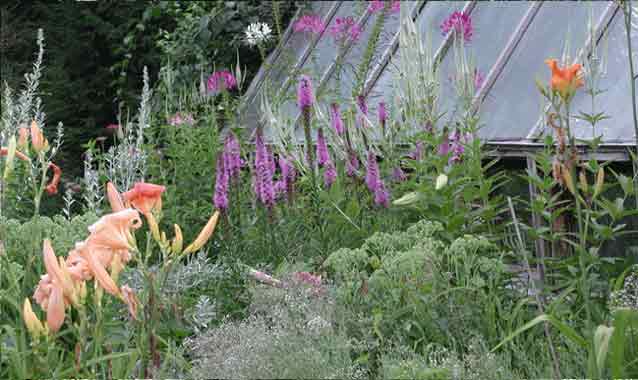 Organic products